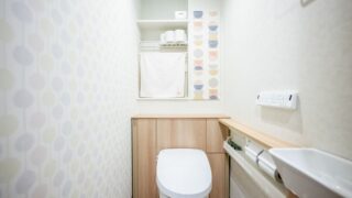 トイレにエコカラットセルフを張った事例